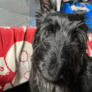 Meet your Posher, Gabby